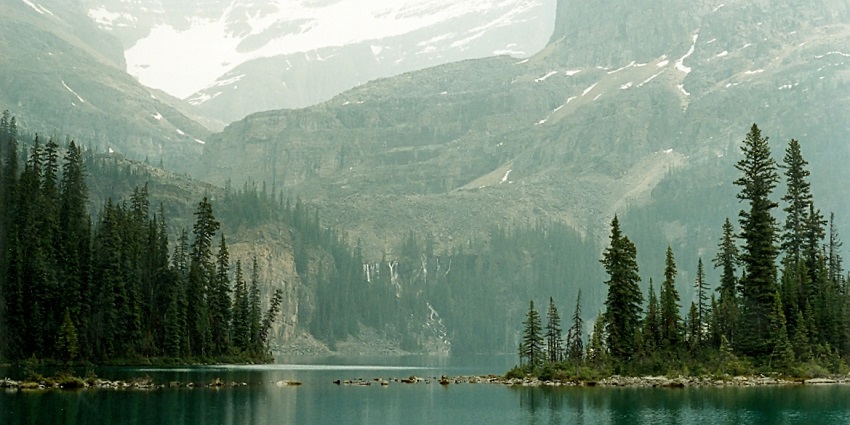 A scenic view of Lake O’Hara, surrounded by peaks and tall trees.