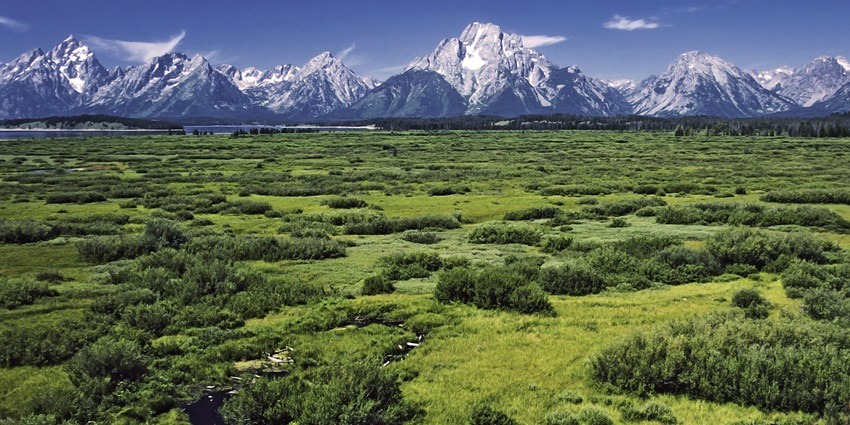 View over the Willow Flats area to the Teton Range with Mount Moran and his Skillet Glacier in the middle.