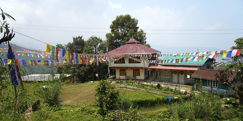 A picture of Lamahatta Eco Park, which is one of the best rejuvenating places.