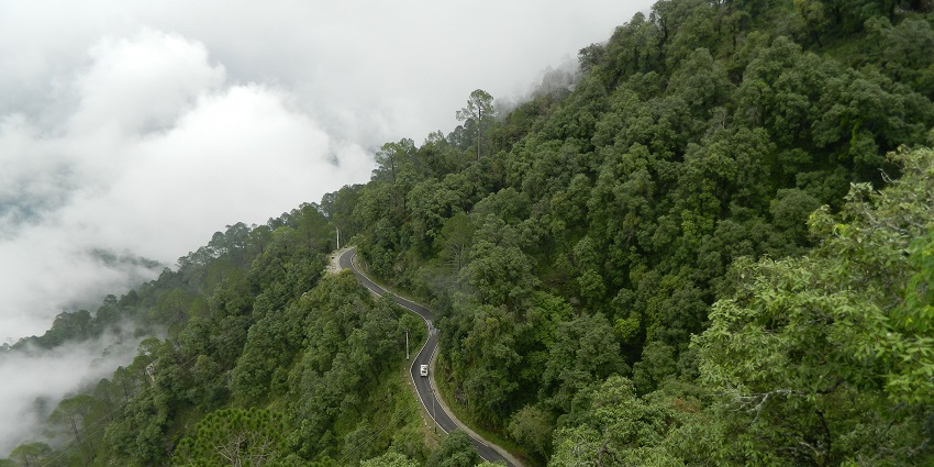 A picture of Lansdowne, one of the stunning hill stations near Kanpur.