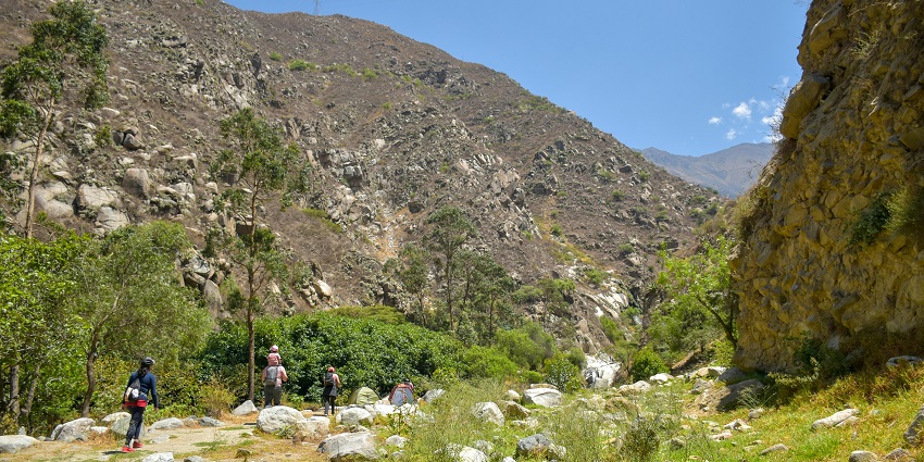 A picture of Lava to Rishyap trekking, which offers mesmerising trekking experience.