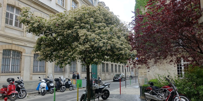 Le Marais is among the famous places for shopping in Paris with stylish boutiques, cafes, and galleries.