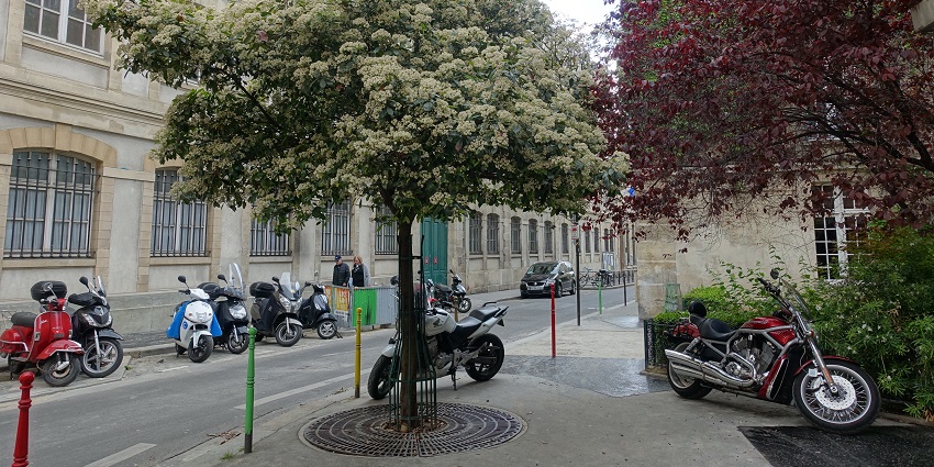 Le Marais is among the best shopping places in Paris and is known for vintage shops, cafes