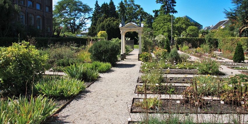 Historic botanical garden with diverse plant species and serene paths