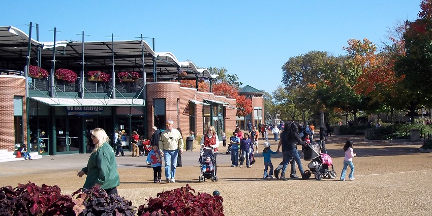 An image of the people roaming around inside the Lincoln Park Zoo in Chicago.