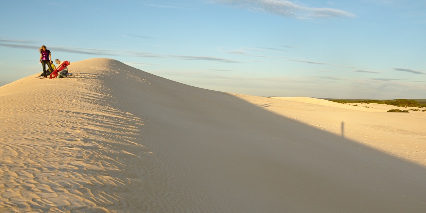 Spend an evening and explore little sahara, a dune stretch on Kangaroo Island
