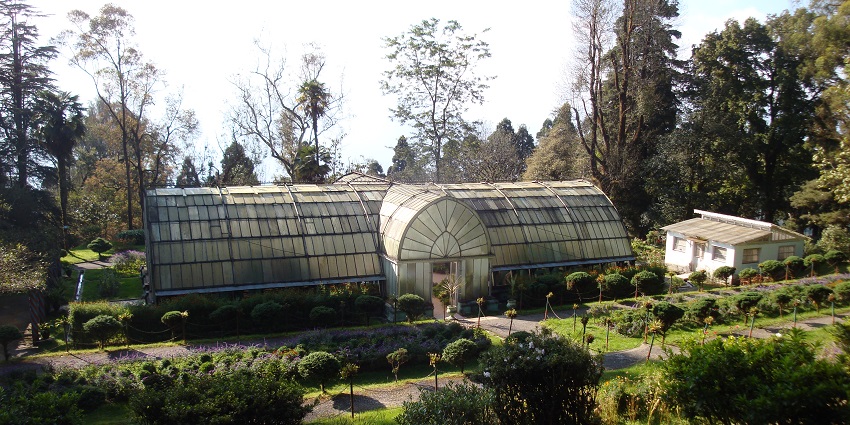 A picture of Lloyd's Botanical Garden, which is one of the best Darjeeling picnic places.
