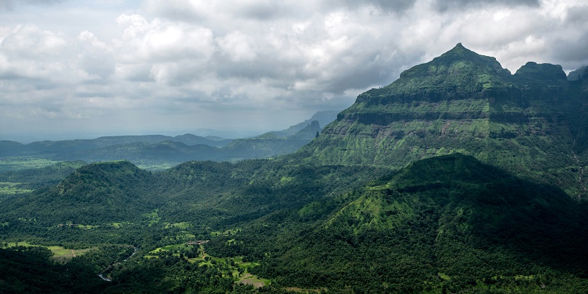 An image of diverse flora and fauna encountered while Malshej Ghat trekking.