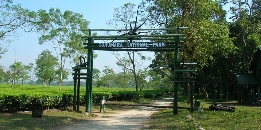 An image of the entrance gate where you can start the journey of Gorumara Jungle Safari.