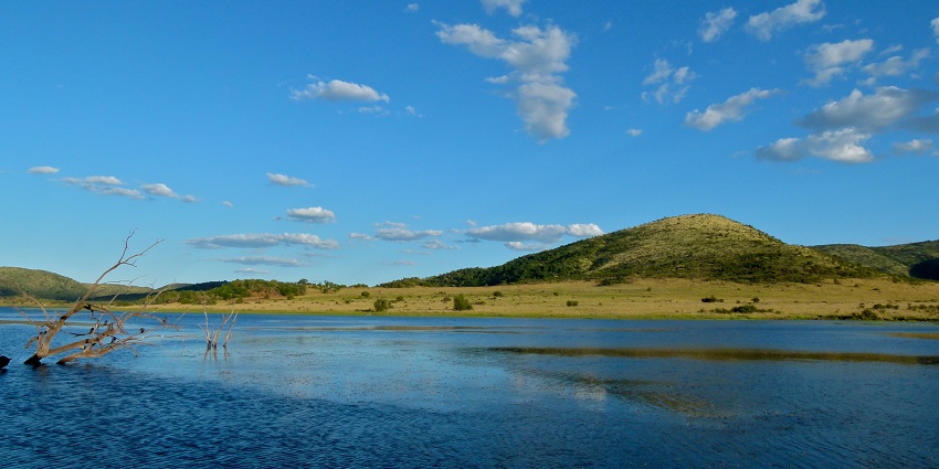 Picturesque view of the beautiful locality at South africa's National Park during day time view