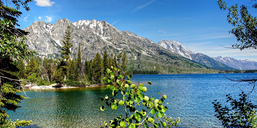 An image of a scenic landscape in Grand Teton National Park, with trees in the background.