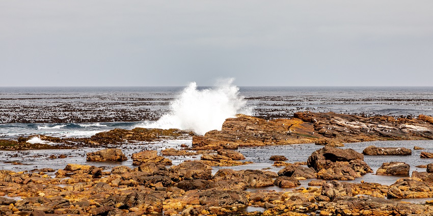 A View of Table Mountain National Park on Cape Peninsula.