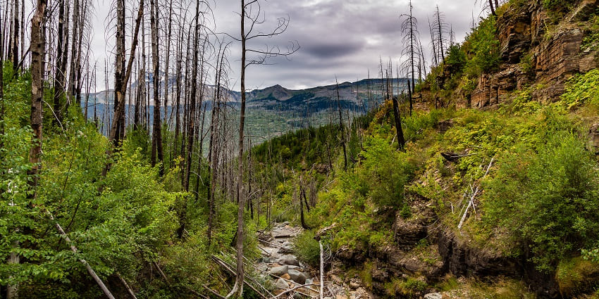 An image showing a view of the Granite Park Trail at Crystal Point, Glacier National Park, Montana.