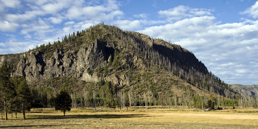  A view of Yellowstone National Park Mountain, surrounded by dense greenery.