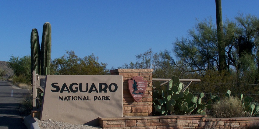 An image of the landscape view of Saguaro National Park Arizona USA