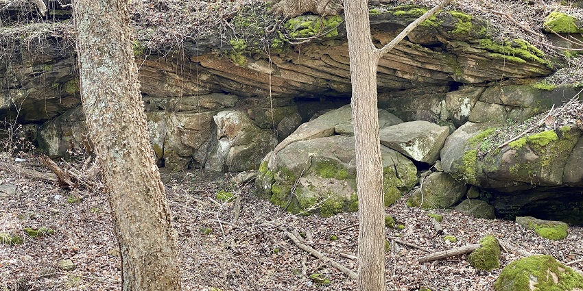 Entrance to Mammoth Cave in Mammoth Cave National Park, Kentucky, with surrounding greenery.