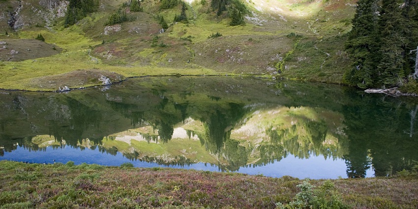 An image of Heart Lake in Washington State Olympic National Park offers serene views surrounded by lush forest beauty.