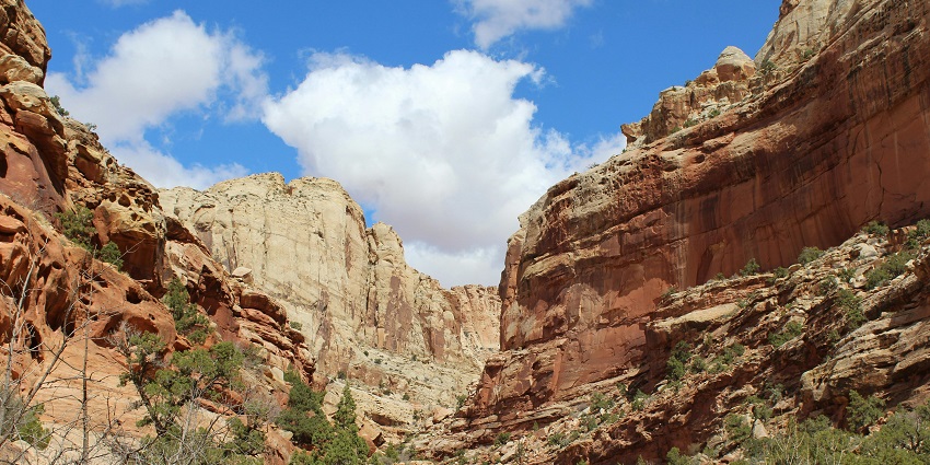 An image of majestic red rock canyons in Southern Utah under a clear sky.