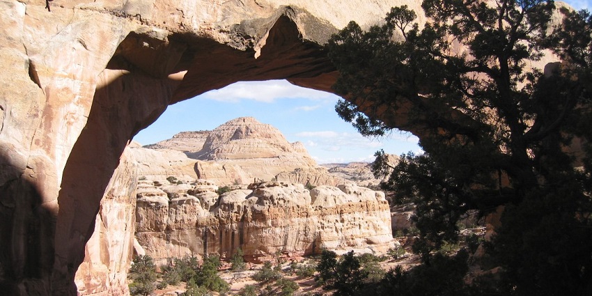 An image of a natural rock arch formed called Hickman Bridge.