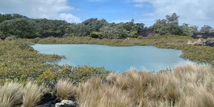 A scenic view of Rangitoto Island from Motutapu Island.