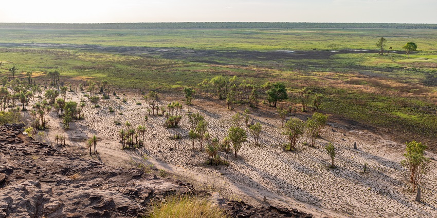 View from a hill Location of Kakadu Park during day time with vast field