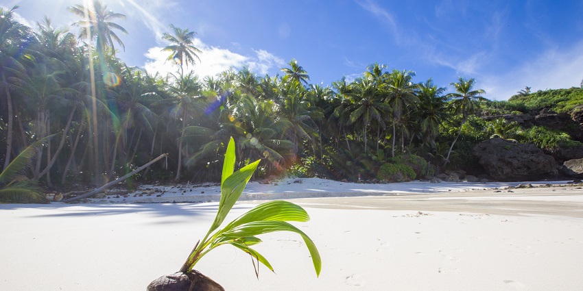 Visit the beautiful location of Christmas island national park
