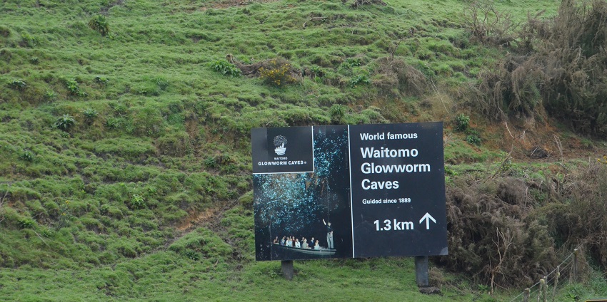 A photo of Waitomo Glowworm Cave during dark in New Zealand