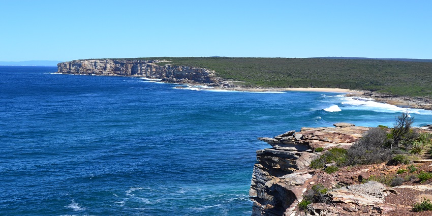 Royal National Park is the second-oldest park in the world.