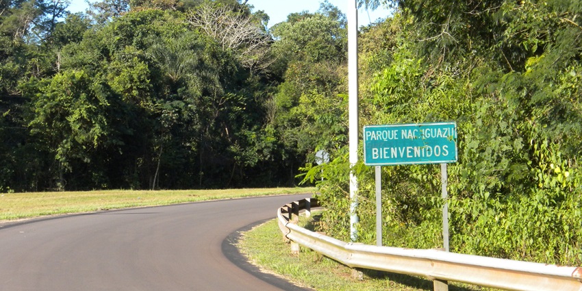 Green trees surrounding Iguazu National Park in Argentina