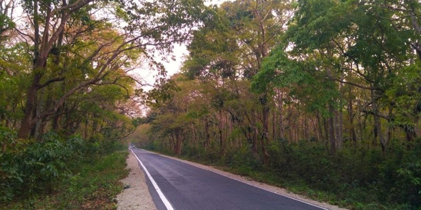 An image of Jaldapara's location in the Alipurduar district of West Bengal