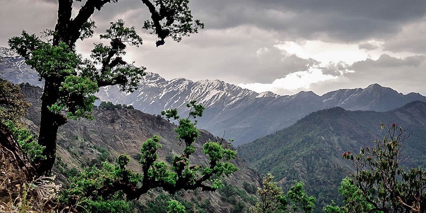 Jim Corbett National Park is located in Uttarakhand, near Nainital