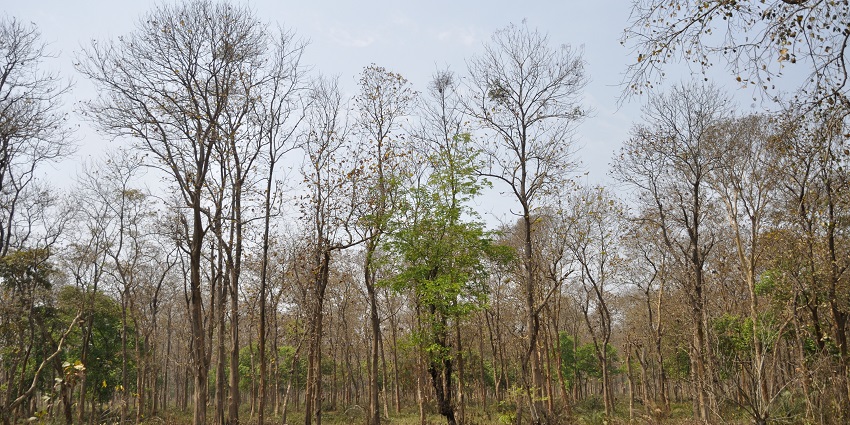 National Highway 34 leads to the Bethuadahari Wildlife Sanctuary