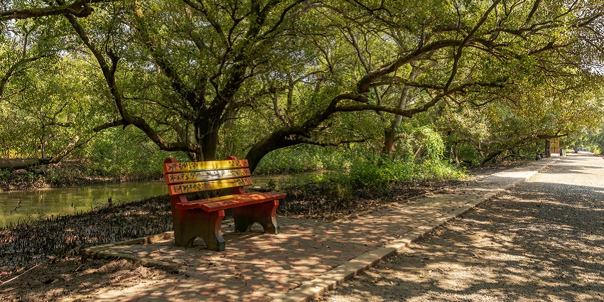 A representative image of the bench leading towards the Ballavpur Wildlife Sanctuary.