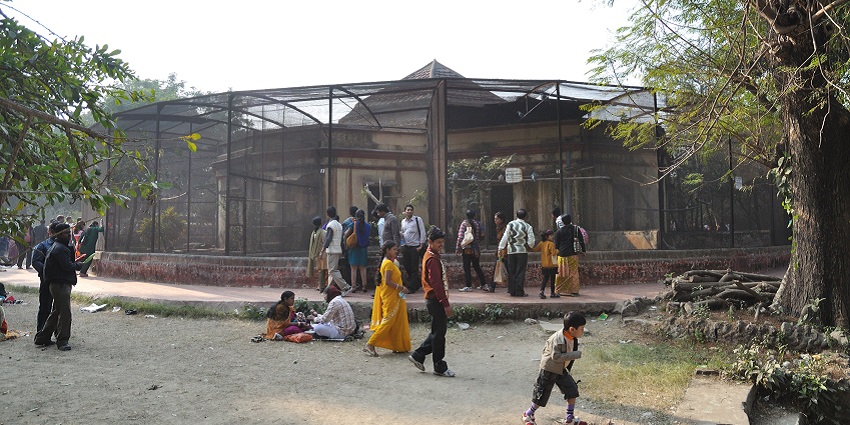 A view of Alipore Zoo, found in the southern part of Kolkata, West Bengal.