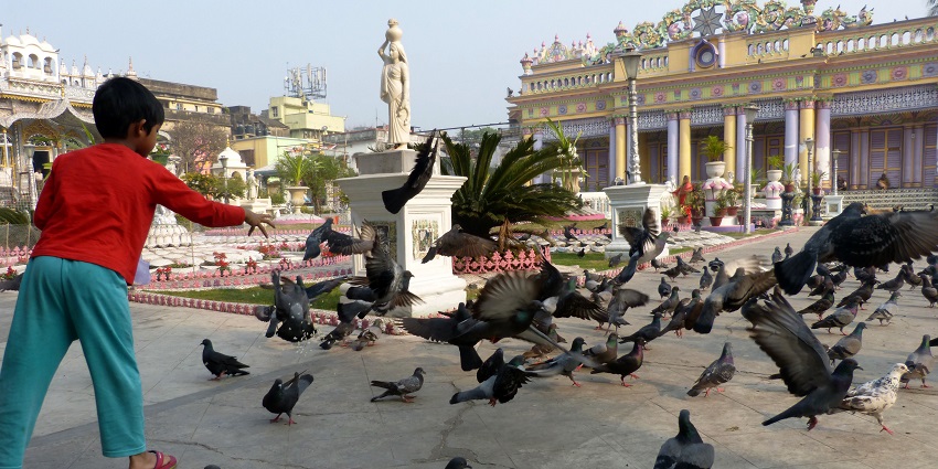 An image of the scenic location of Pareshnath Temple surrounded by lush green landscapes