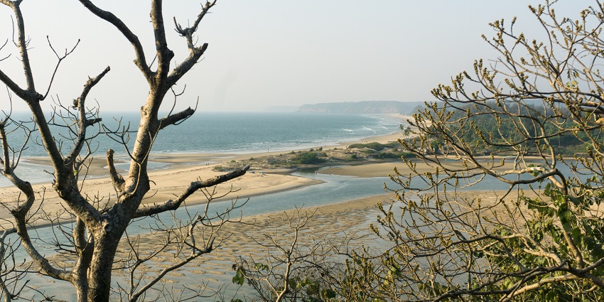 View from the top of Redi Fort, overlooking a lush green forest below