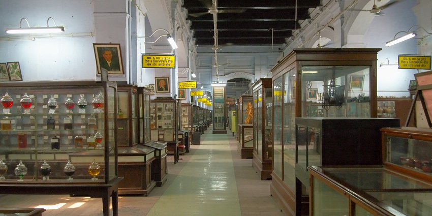 A view of showcasing Chandraketugarh Museum address depicting its architectural style.