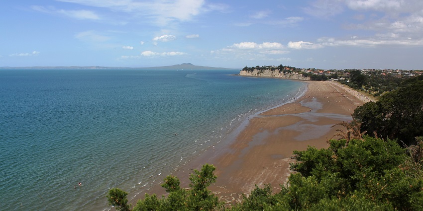 Ideal for picnics and nature trails, a peaceful escape among Auckland beaches.