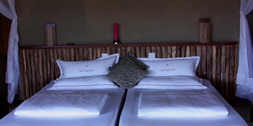 Camping in Ranikhet with upscale amenities in stunning outdoor settings.