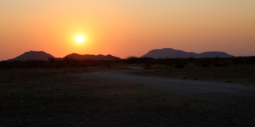 Madikwe Game Reserve, for a safari experience near Pilanesberg National Park