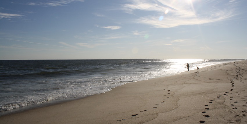 A serene beach near New York with a fisherman casting their line under a clear blue sky