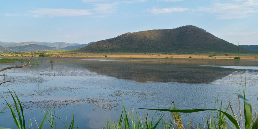 Scenic views at Mankwe Dam - one of the best places to visit near this National Park