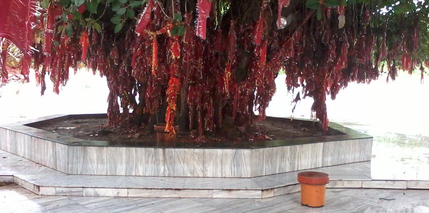 Mansa Devi Temple is a must-visit for seekers near Mayadevi Temple.