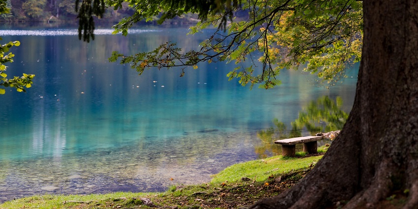 Picture of Marlimund Lake, a haunted place to visit in Ooty surrounded by ghost stories.