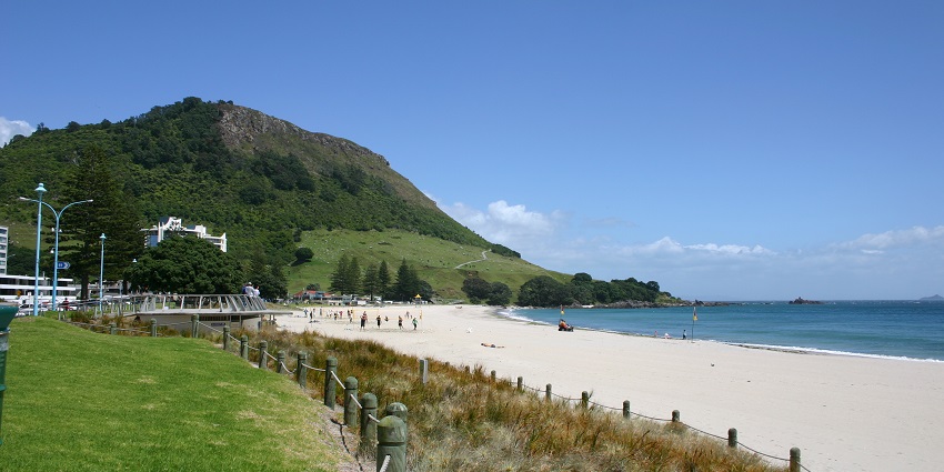 A garden at Maunganui Beach, one of the top beaches in New Zealand