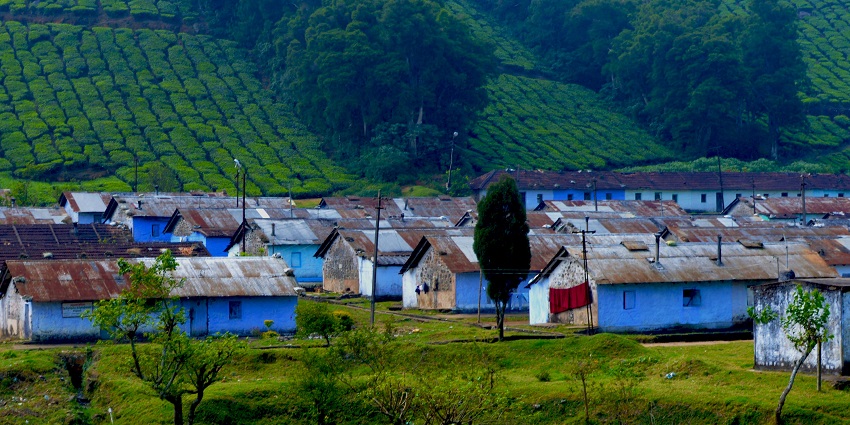 Houses for tea estate workers in Meghamalai are set amidst the rolling green hills and vast tea plantations.
