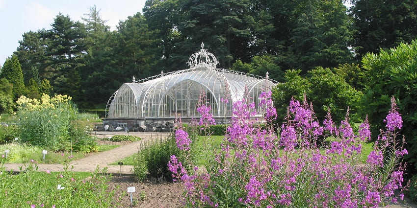 Valentine's Day event in Belgium botanical garden with diverse plant collections and scenic walks.