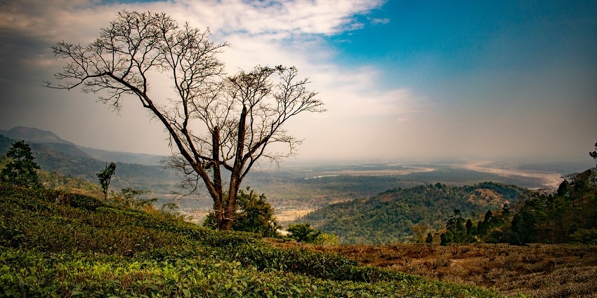 Explore the serene beauty of roads in Mirik, one of the hill stations near Bagdogra.