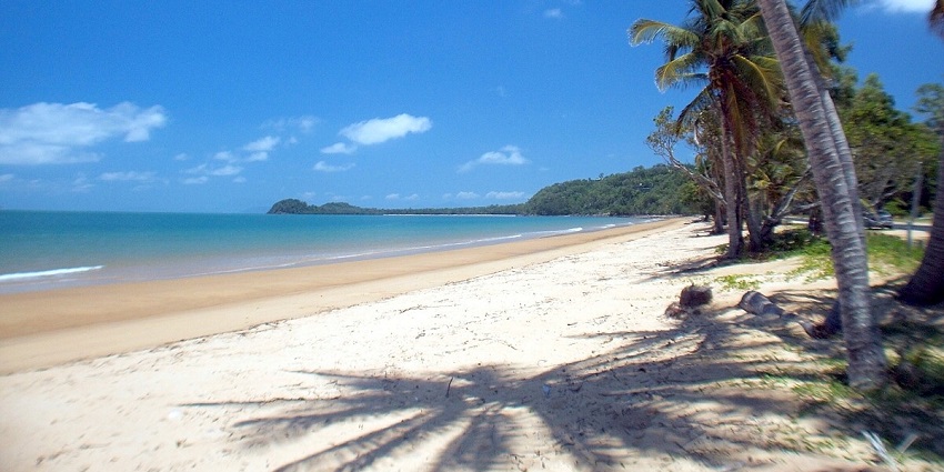 The pristine beach looks stunning at the mission bay in Auckland, New Zealand