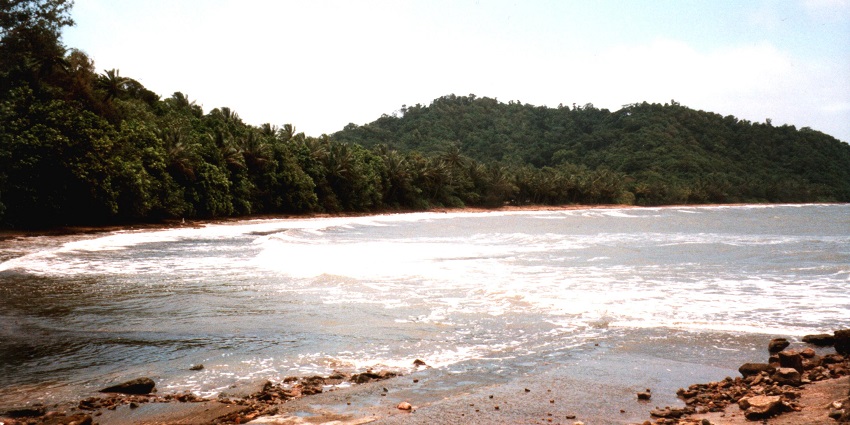 This beach in Queensland is an Isolated beach encompassed by a dense forest area.